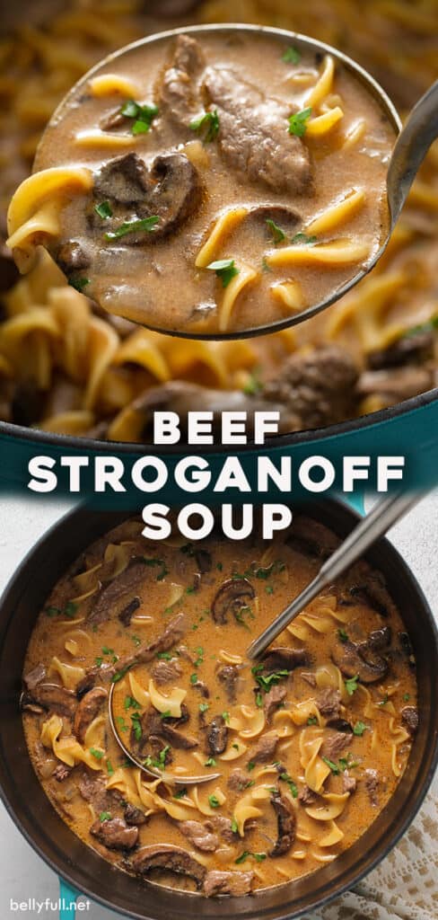 pin for beef stroganoff soup