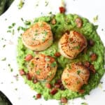 overhead 4 scallops on top of pea puree with pancetta