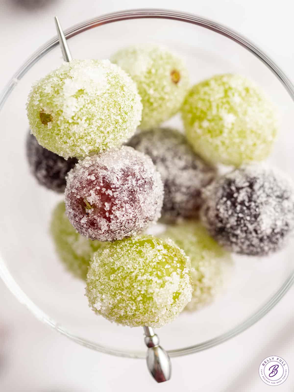 close up 3 Sugared Grapes on party skewer