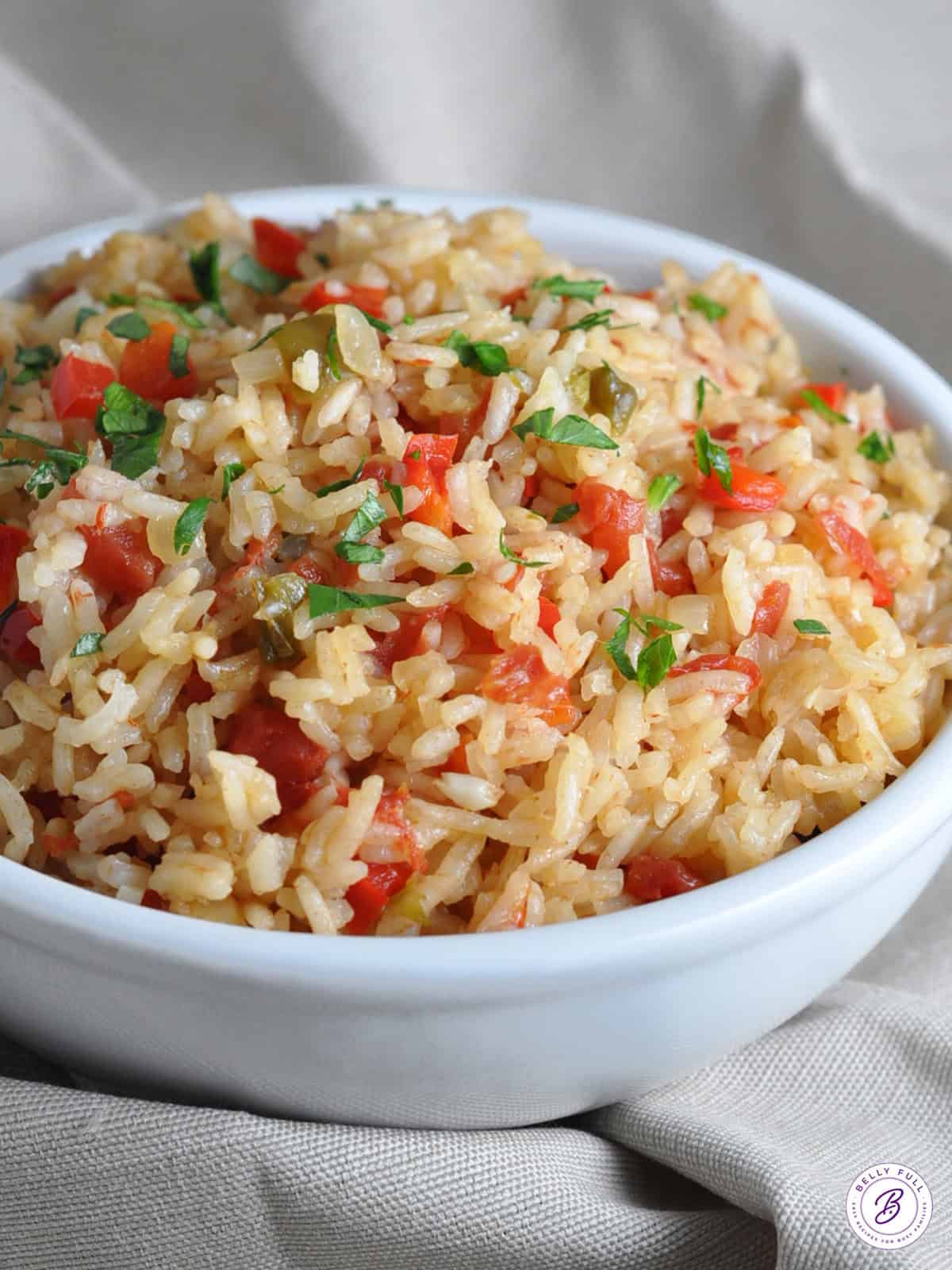 Bowl of Spanish Rice
